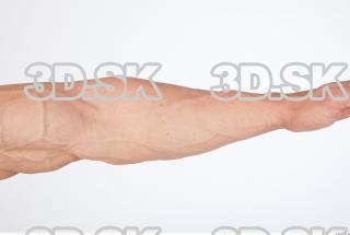 Forearm texture of Dale 0001